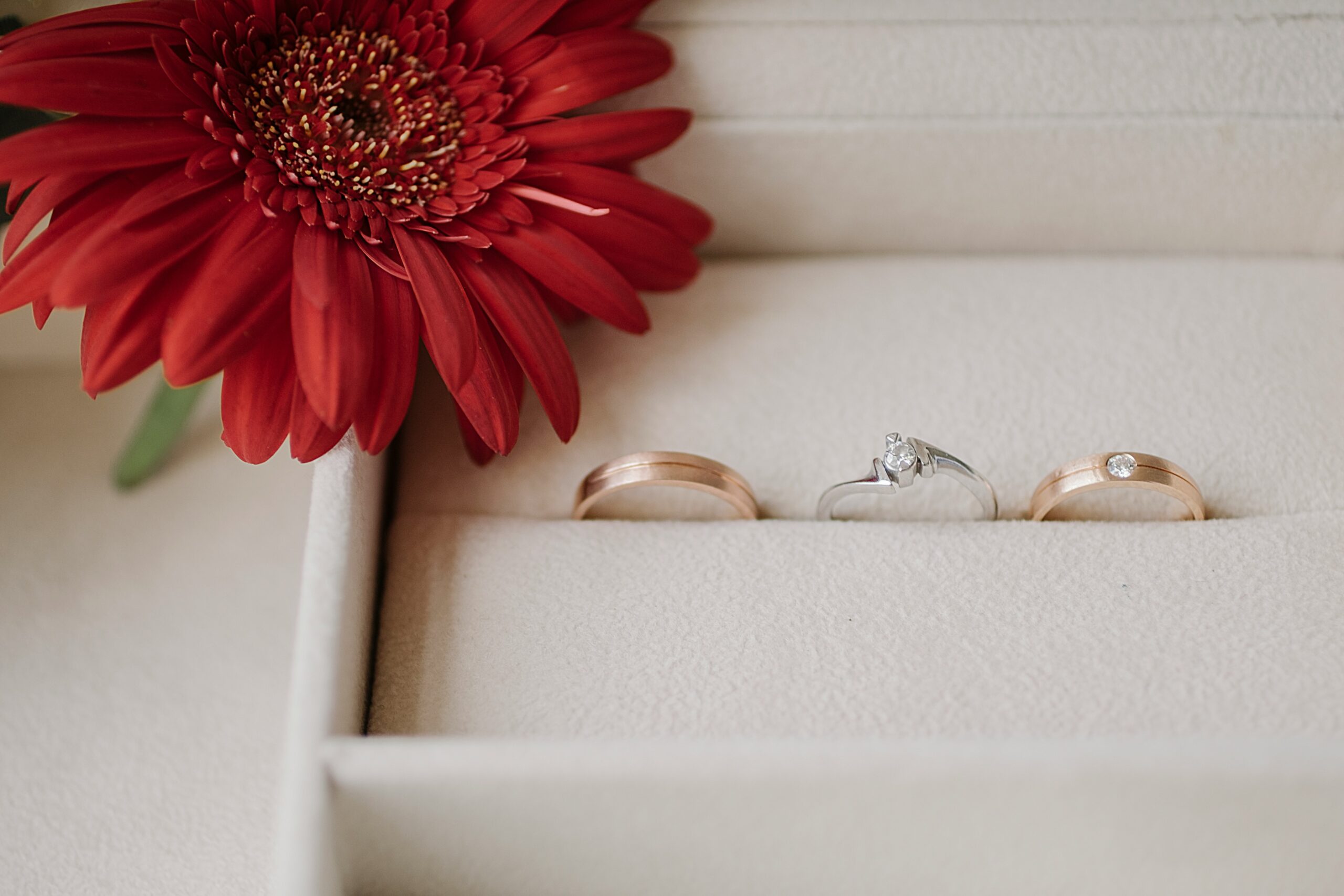 White, yellow and rose gold rings in a box