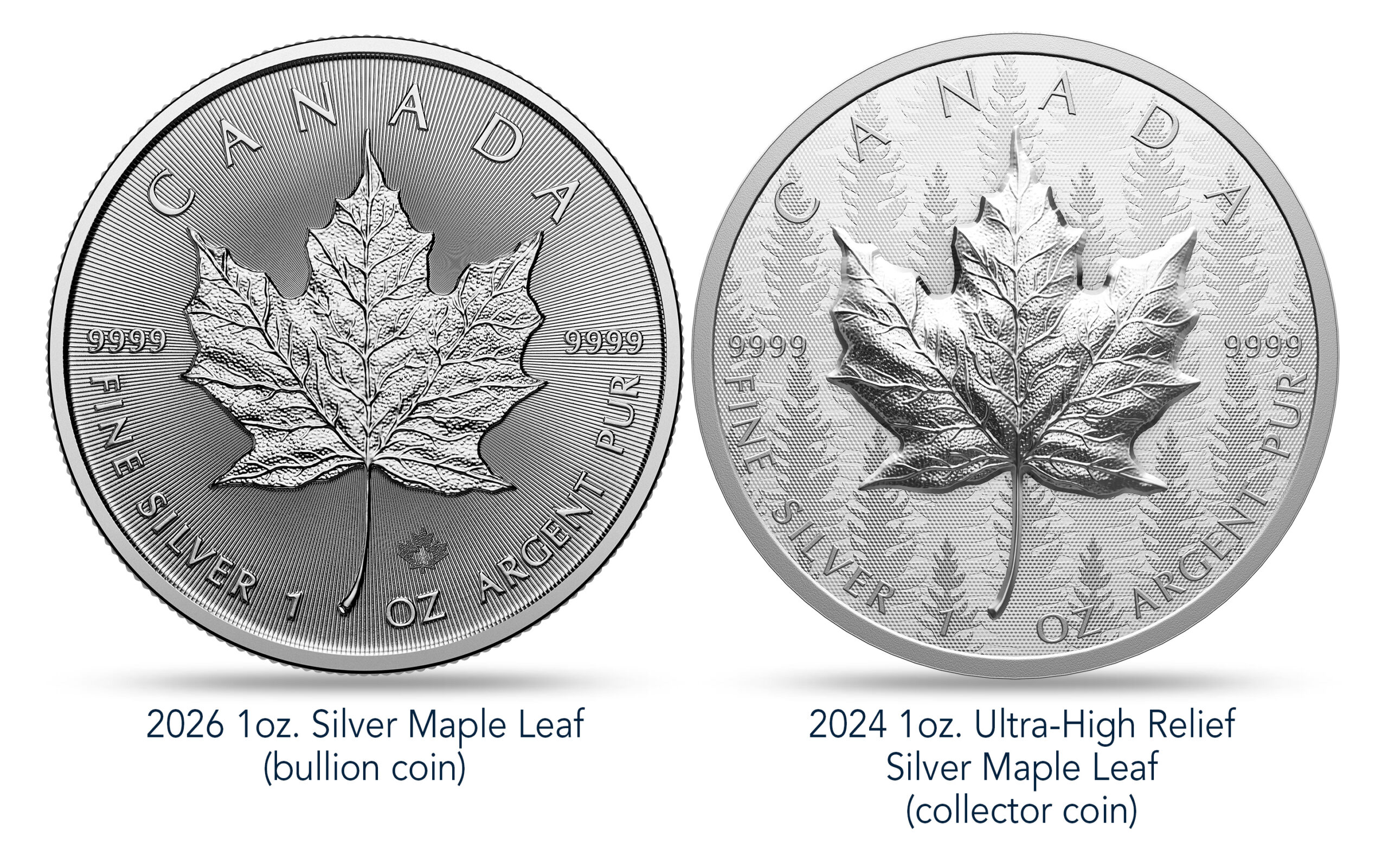 Bullion Silver Maple Leaf Coin versus Collectors Silver Maple Leaf Coin